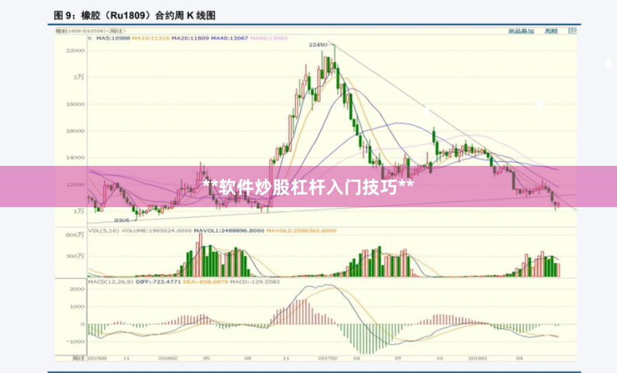 **软件炒股杠杆入门技巧**