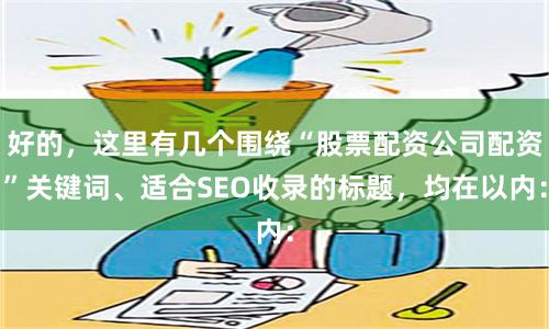 好的，这里有几个围绕“股票配资公司配资”关键词、适合SEO收录的标题，均在以内：