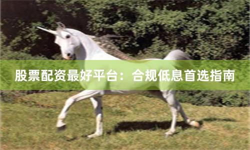 股票配资最好平台:合规低息首选指南